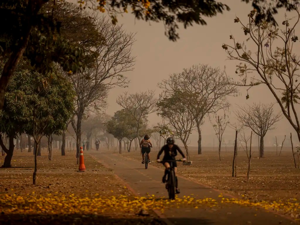 É seguro fazer atividade física em dias poluídos?
