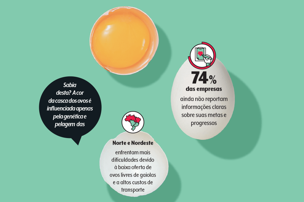 saude-alimentacao-ovos-sistema-criacao-aves-agropecuaria-dados saude-alimentacao-ovos-sistema-criacao-aves-agropecuaria-dados