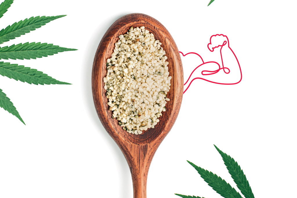 Whey de maconha: novo suplemento usa semente da planta