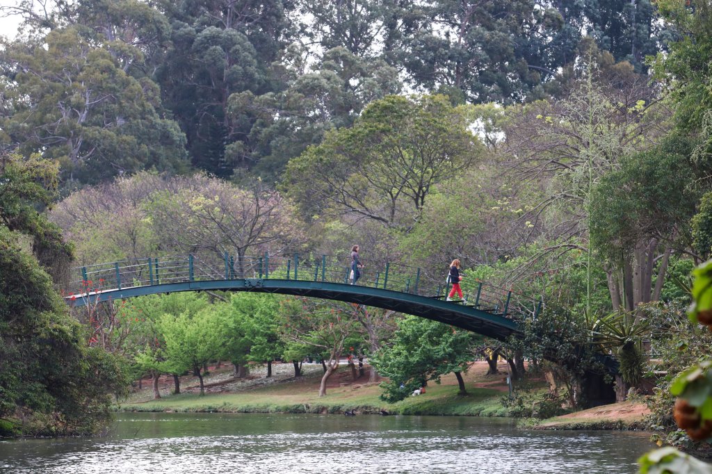 saude-ecossistema-meio-ambiente-parque-temperatura saude-ecossistema-meio-ambiente-parque-temperatura