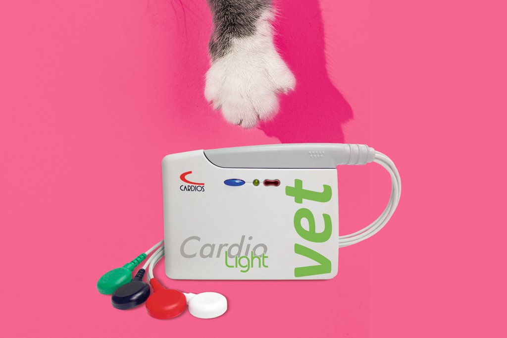 Coração monitorado: novo holter para pets chega ao país