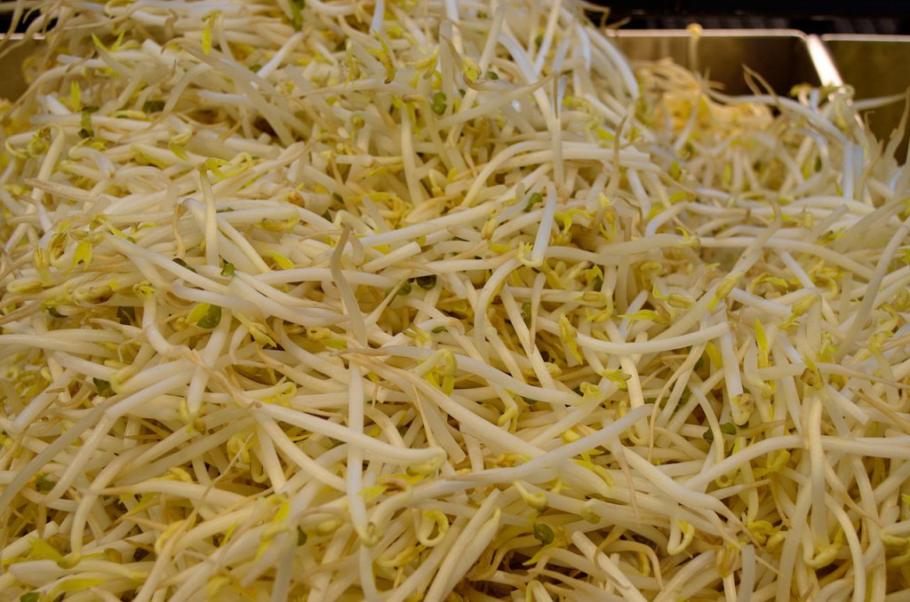 feijao-moyashi-broto feijao-moyashi-broto