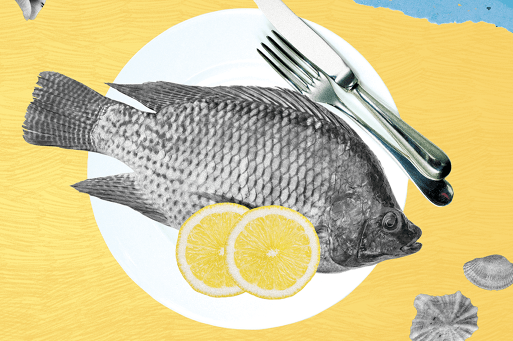 Enquete: com que frequência você come peixe?