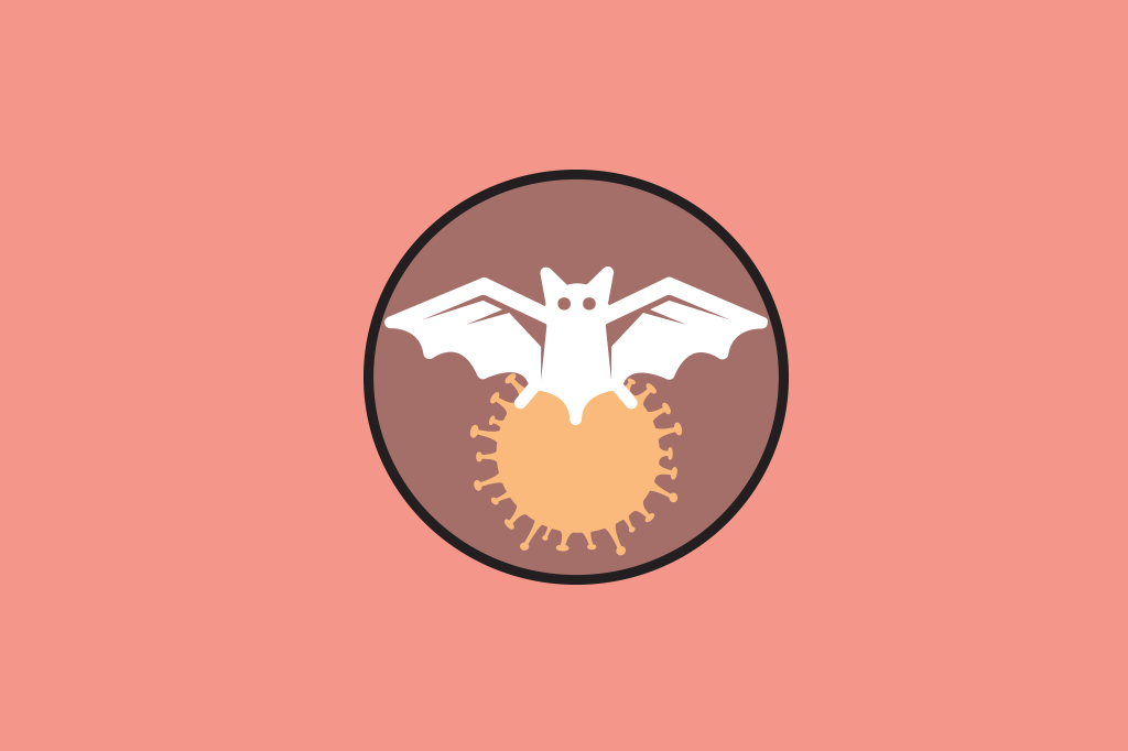 514-ecossistema-coronavirus coronavirus-morcego-china