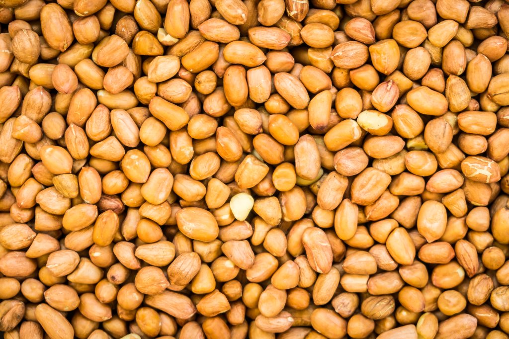 amendoim-proteinas amendoim-proteinas