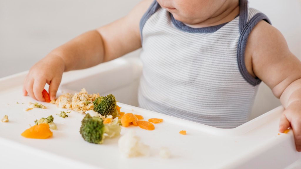 Introdução alimentar: conheça os alimentos proibidos para bebês até os 2 anos