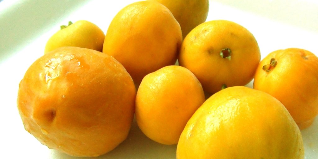 Uvaia: fruta brasileira tem tanta vitamina C quanto a laranja