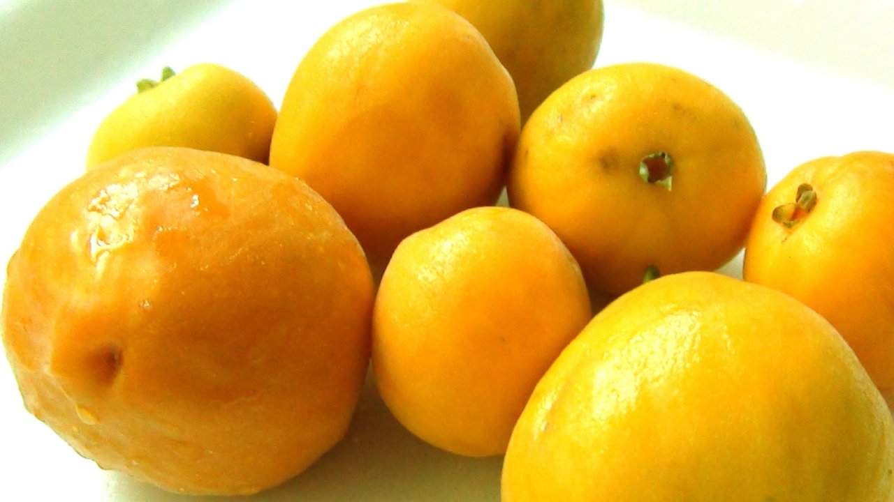 uvaia-fruta-alimento-vitamina