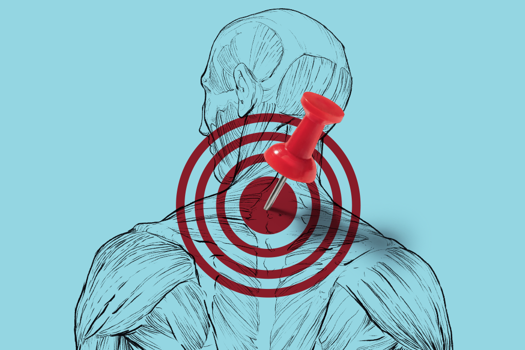 As coordenadas da ciência para silenciar as dores do corpo