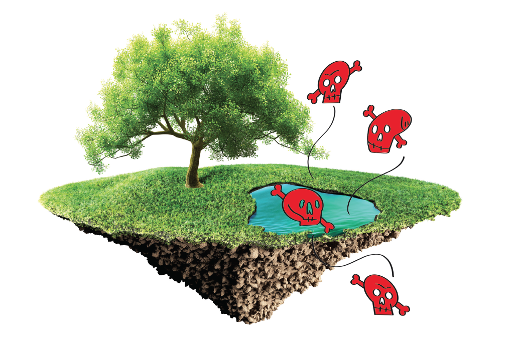 Agrotóxicos são detectados até em lagos isolados e fórmulas infantis