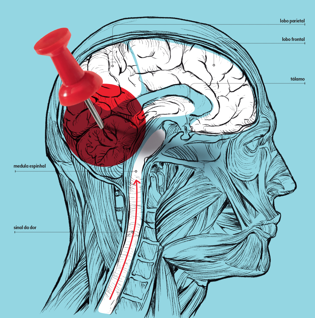 Dor crônica e neuroplasticidade: por que o cérebro “vicia” em sentir dor?
