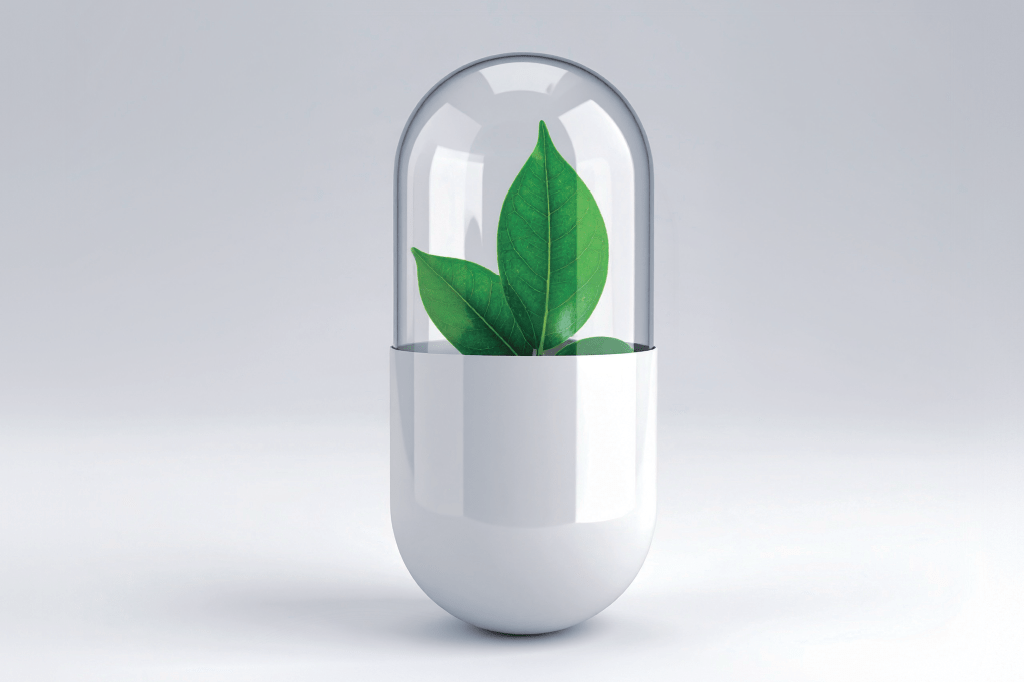 Ora-pro-nóbis: para que serve a planta famosa em suplementos?