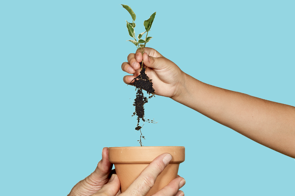 Por que aproximar as gerações pode ser algo benéfico para a sociedade?