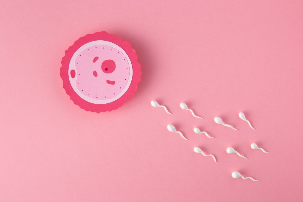 Testes de fertilidade: conheça as principais opções para mulheres e homens