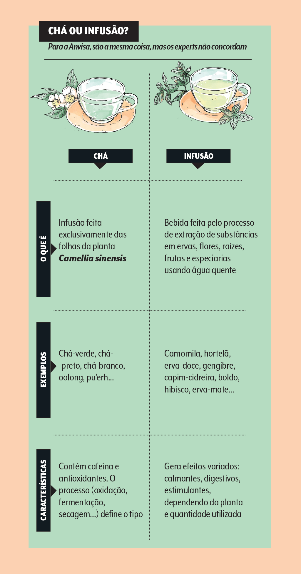 cha-ou-infusao-diferencas cha-ou-infusao-diferencas