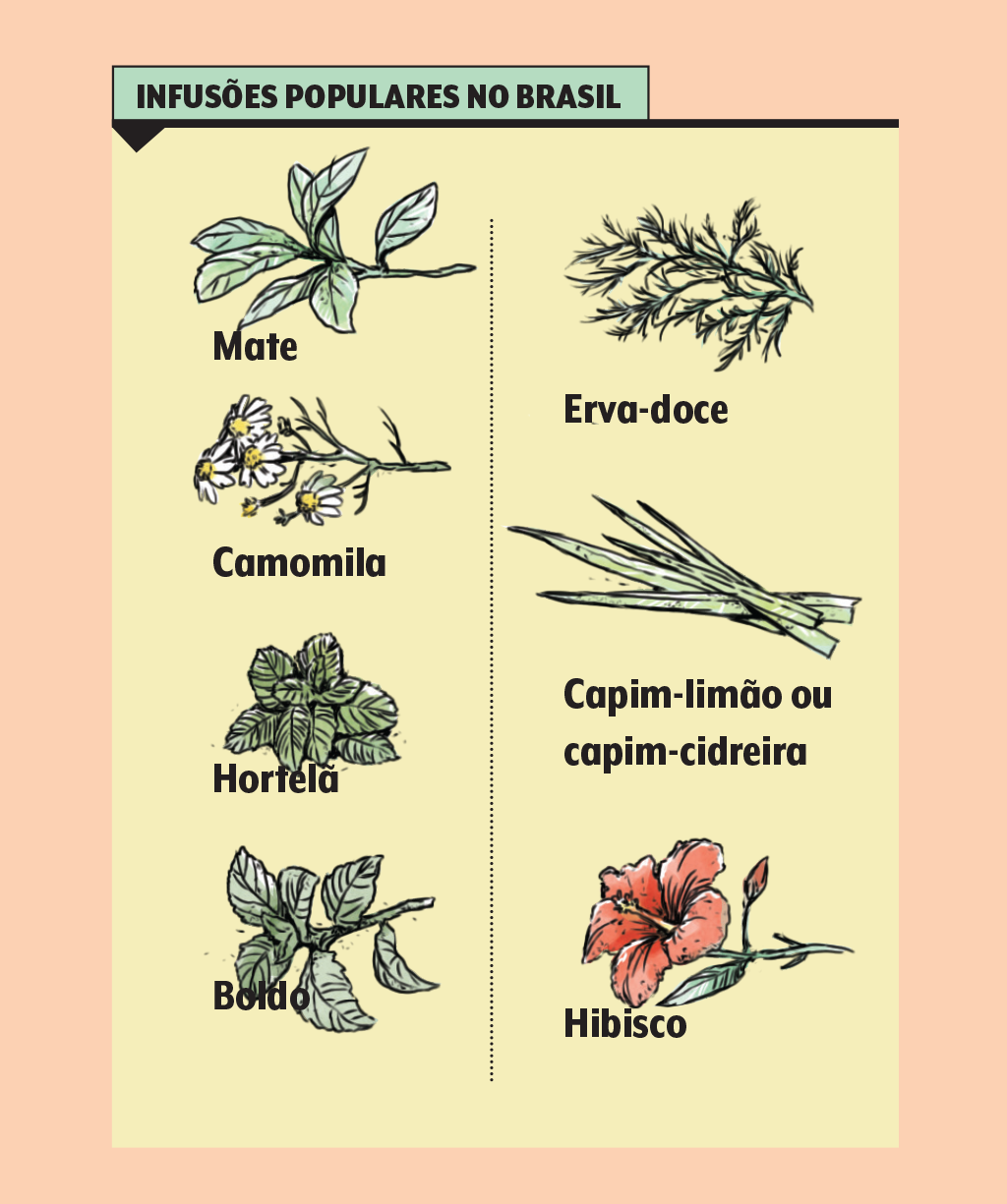 cha-infusoes-brasil cha-infusoes-brasil