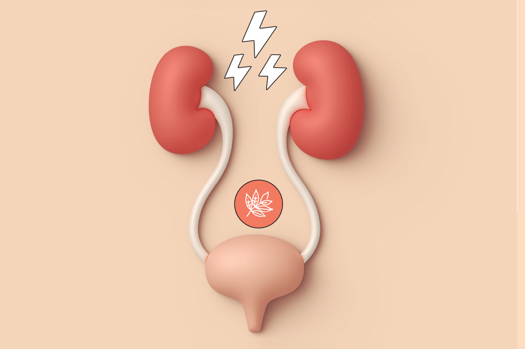 fitoterapico-cistite