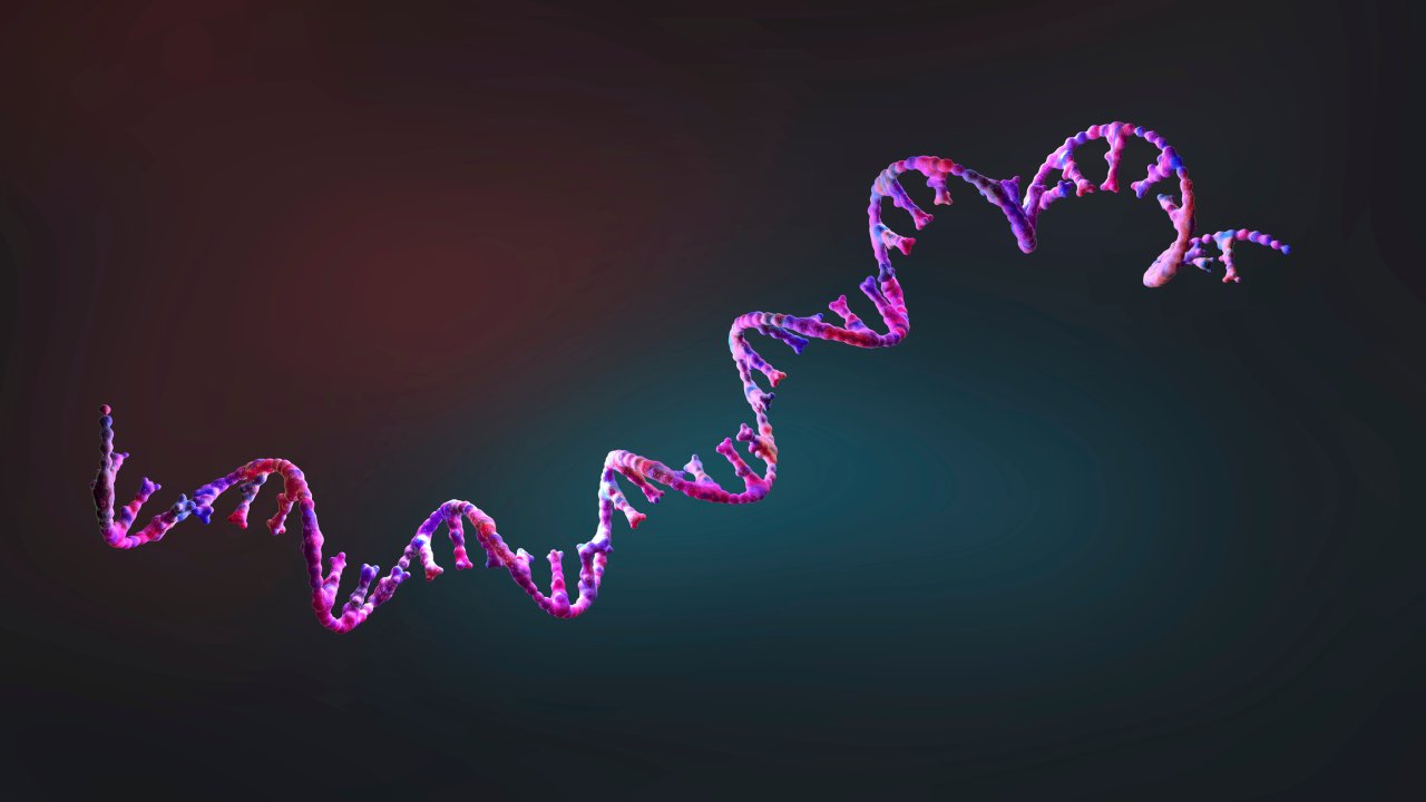 RNA-vacina-universal-cancer