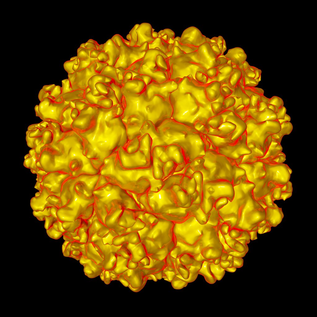 Cientistas identificam novo vírus no sistema nervoso de criança brasileira