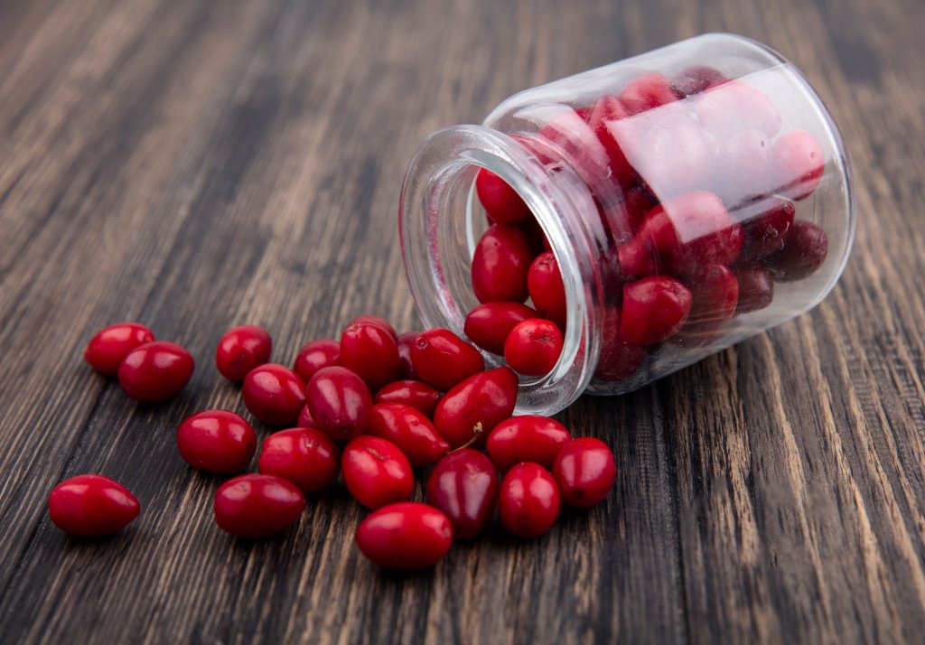 Leite fermentado com cranberry pode ajudar a prevenir infecções urinárias