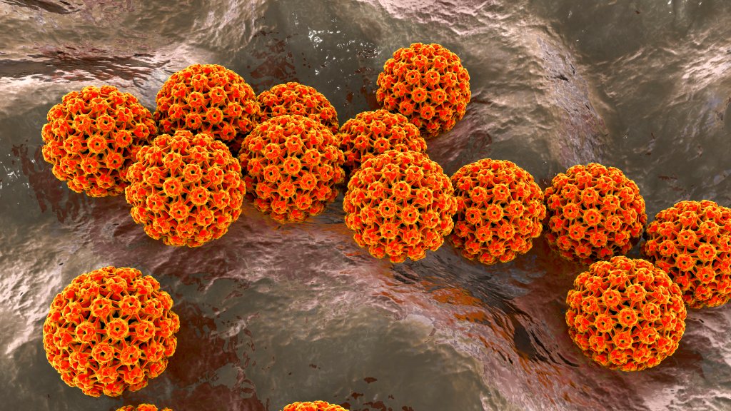 6 a cada 10 mulheres não sabem que HPV causa câncer de colo de útero