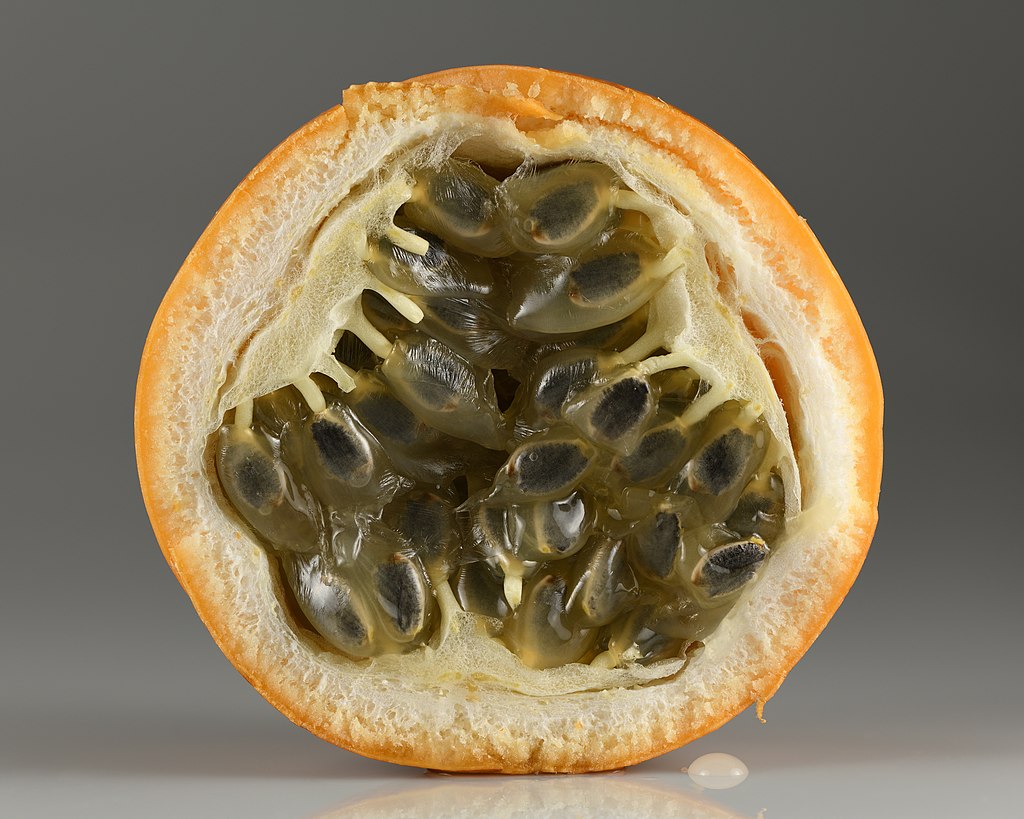 Prima do maracujá é rica em vitaminas A e C e ajuda fortalecer sistema imune