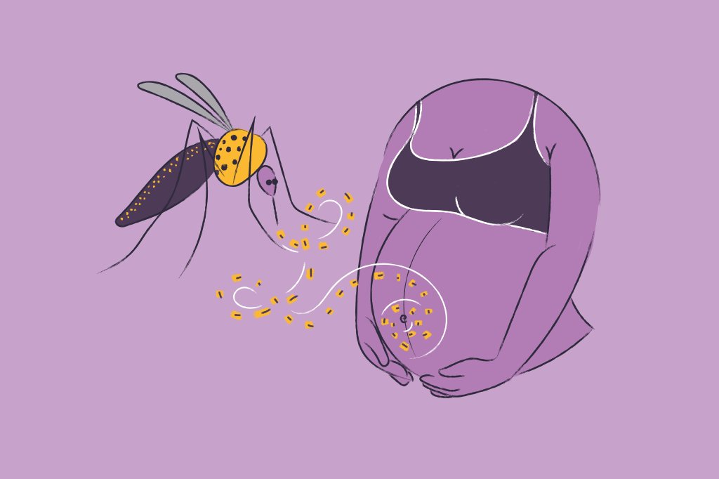 saude-radar-passado-virus-zika-mosquito-microcefalia-bebes saude-radar-passado-virus-zika-mosquito-microcefalia-bebes