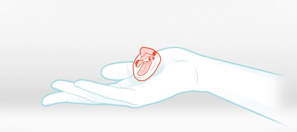 categoria-engajamento