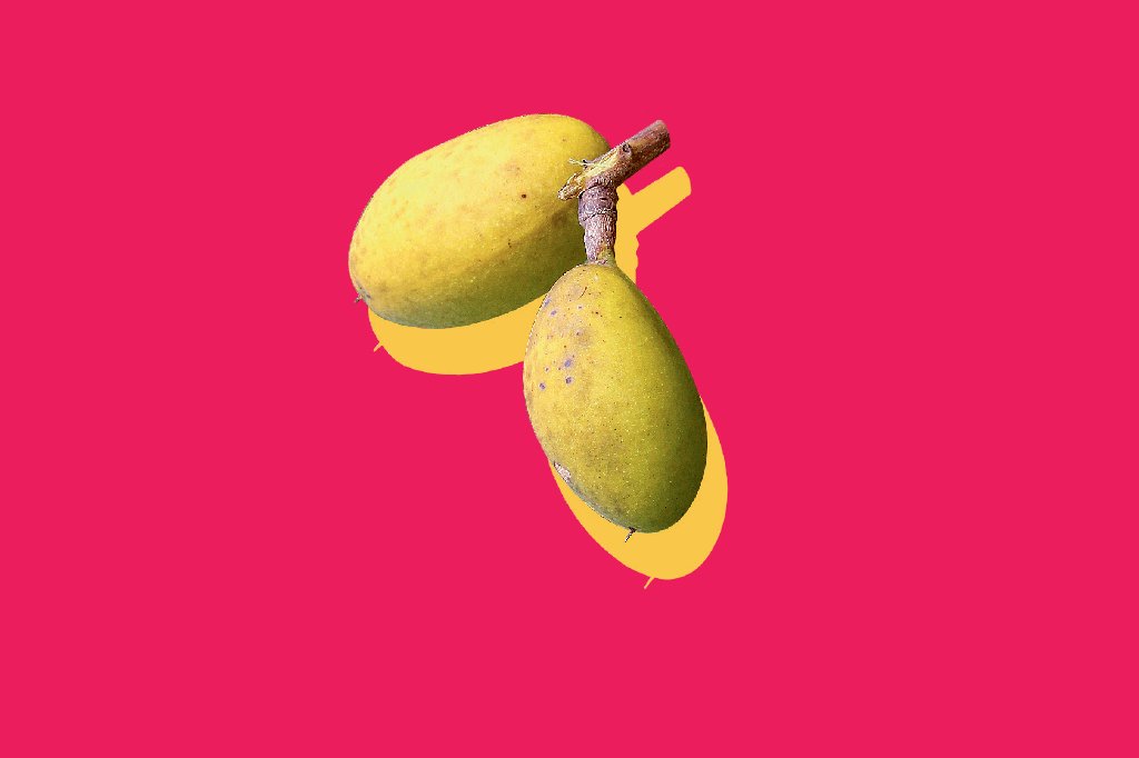 frutos-cerrado-angelim-rasteiro