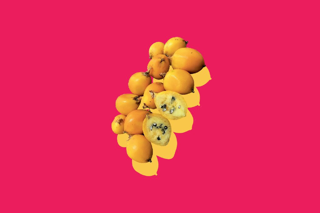 alimentacao-frutos-cerrado-caragata