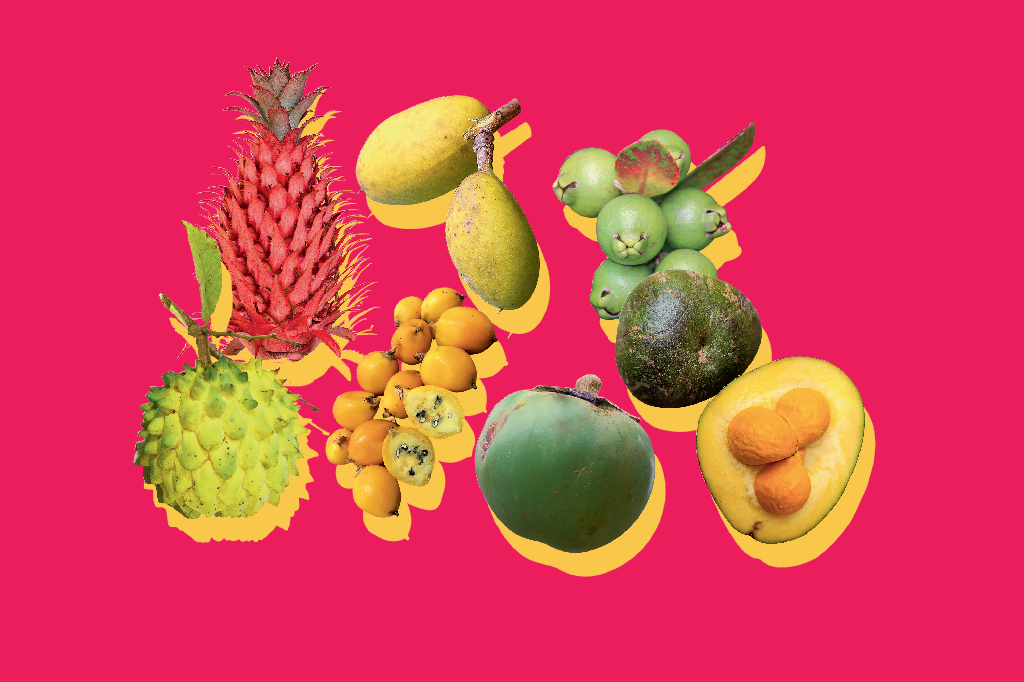 alimentacao-frutos-cerrado