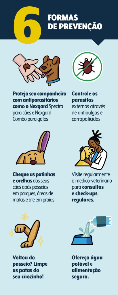 Formas de prevenção