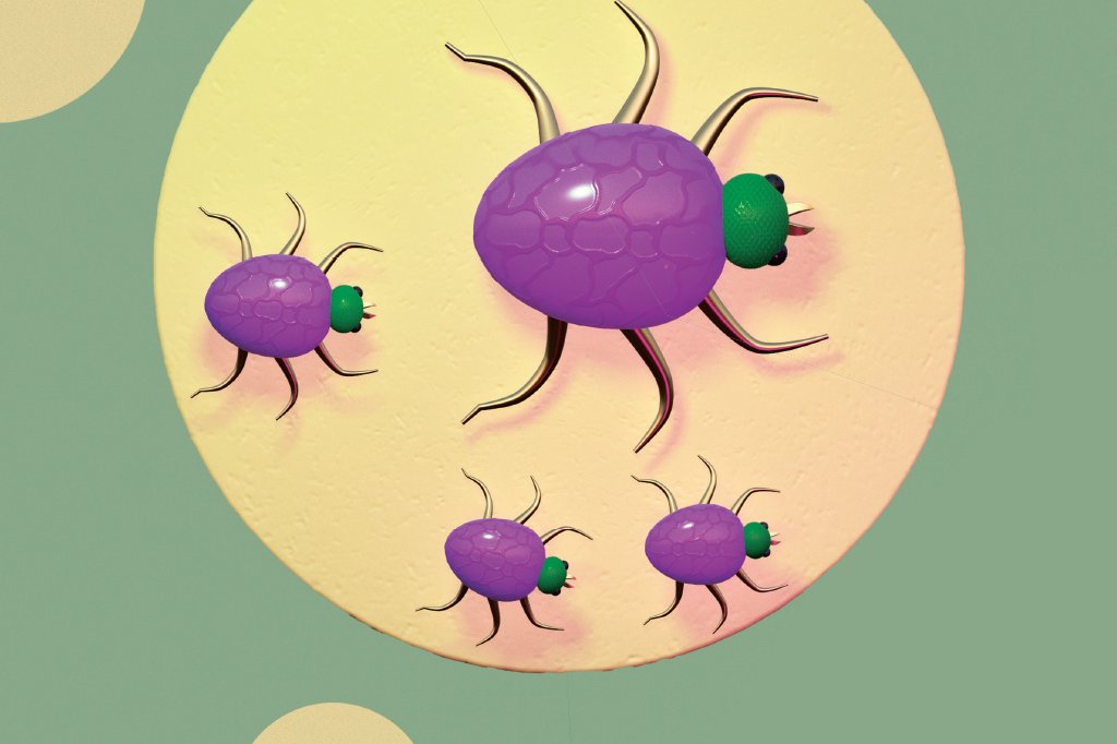 saude-pragas-urbanas-carrapato