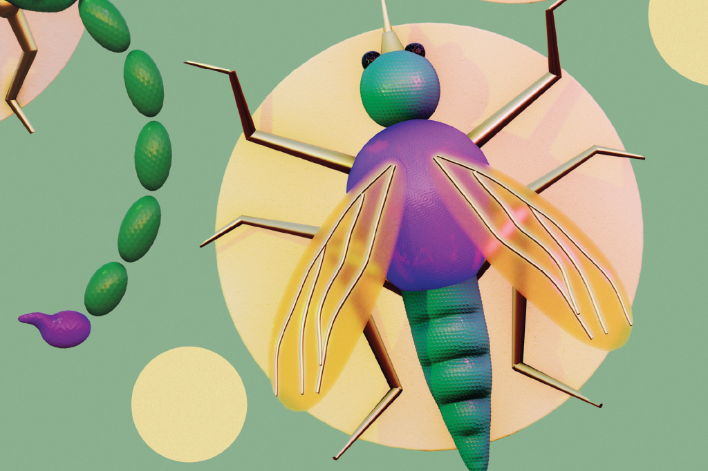 Repelentes naturais: descubra se citronela, cravo e outras receitas caseiras funcionam