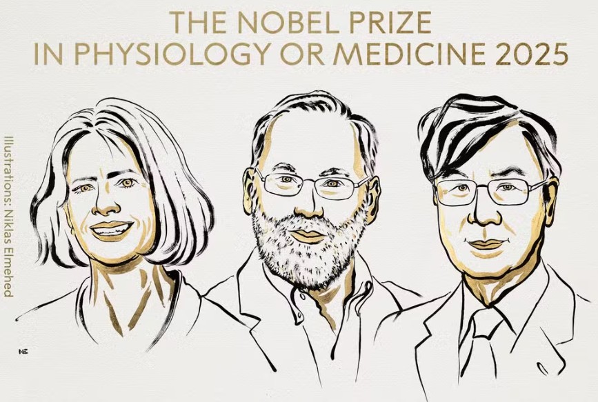 Nobel de Medicina 2025 premia revolução no entendimento das doenças autoimunes