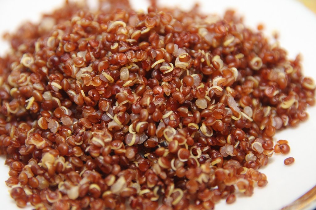 A semente ancestral que surpreende por ser uma boa fonte de proteína