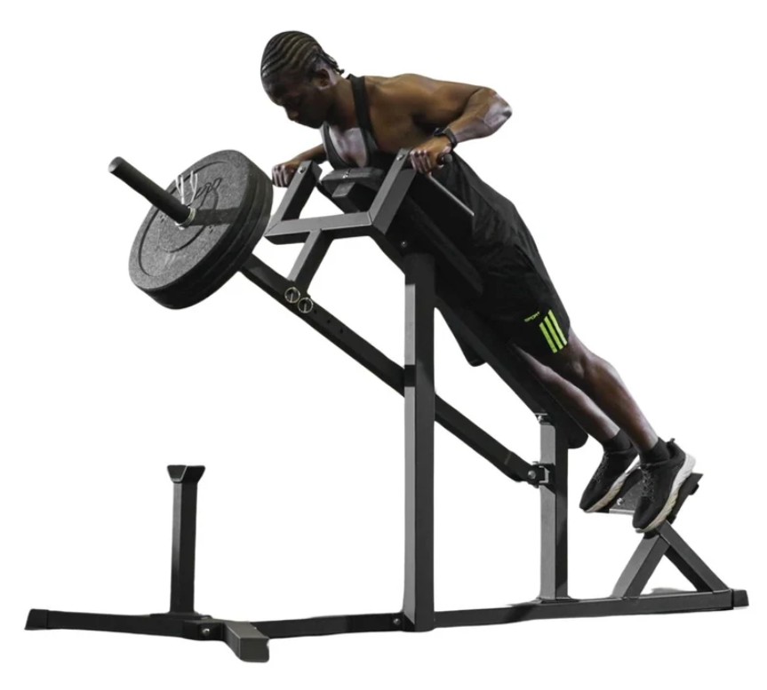 Remada cavalinho: aprenda um exercício ideal para definir as costas