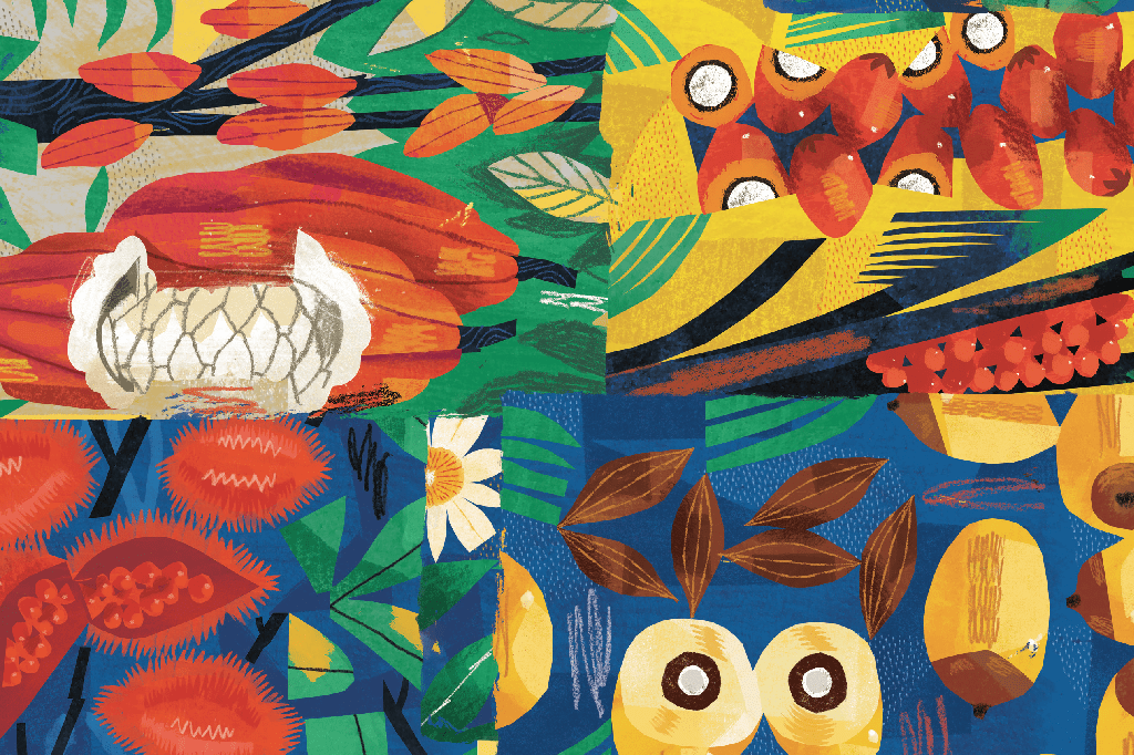 7 alimentos da Amazônia para enriquecer o prato e melhorar a saúde