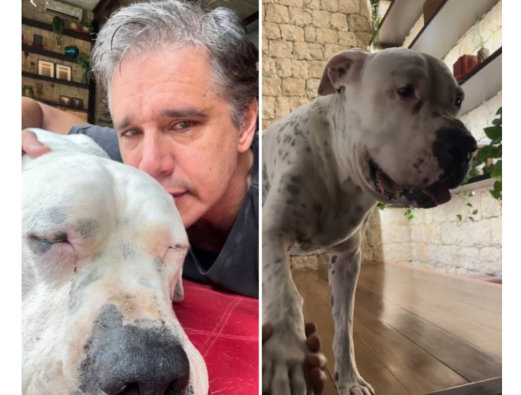 Márcio Garcia revela diagnóstico de câncer de seu cachorro