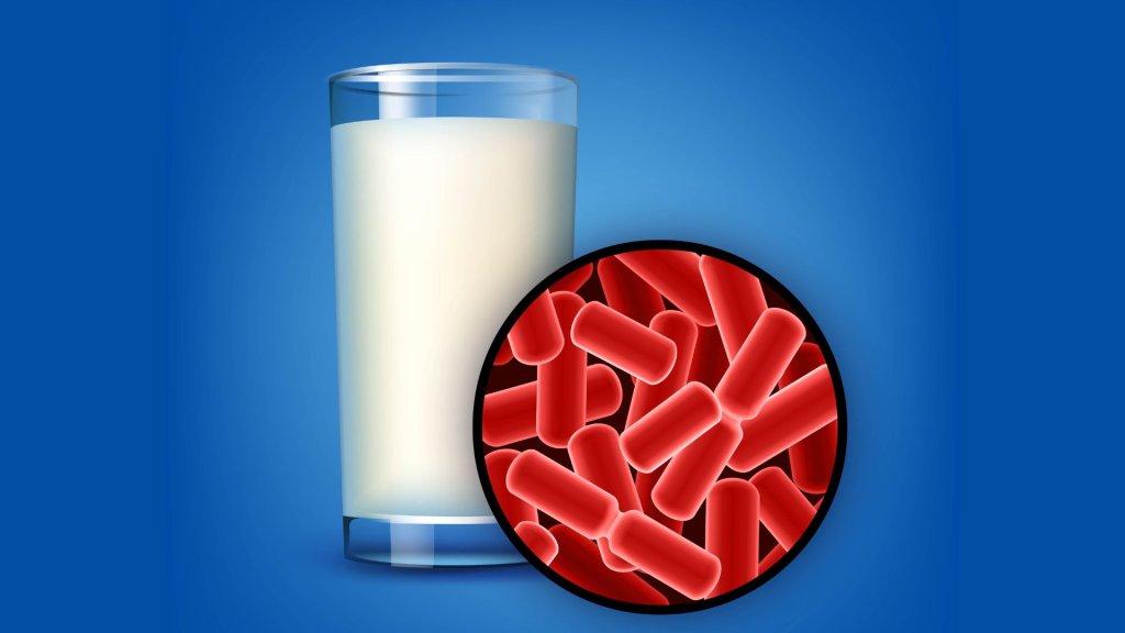 Toxina em produtos da Nestlé: o que é a cereulide e quais sintomas ela pode causar