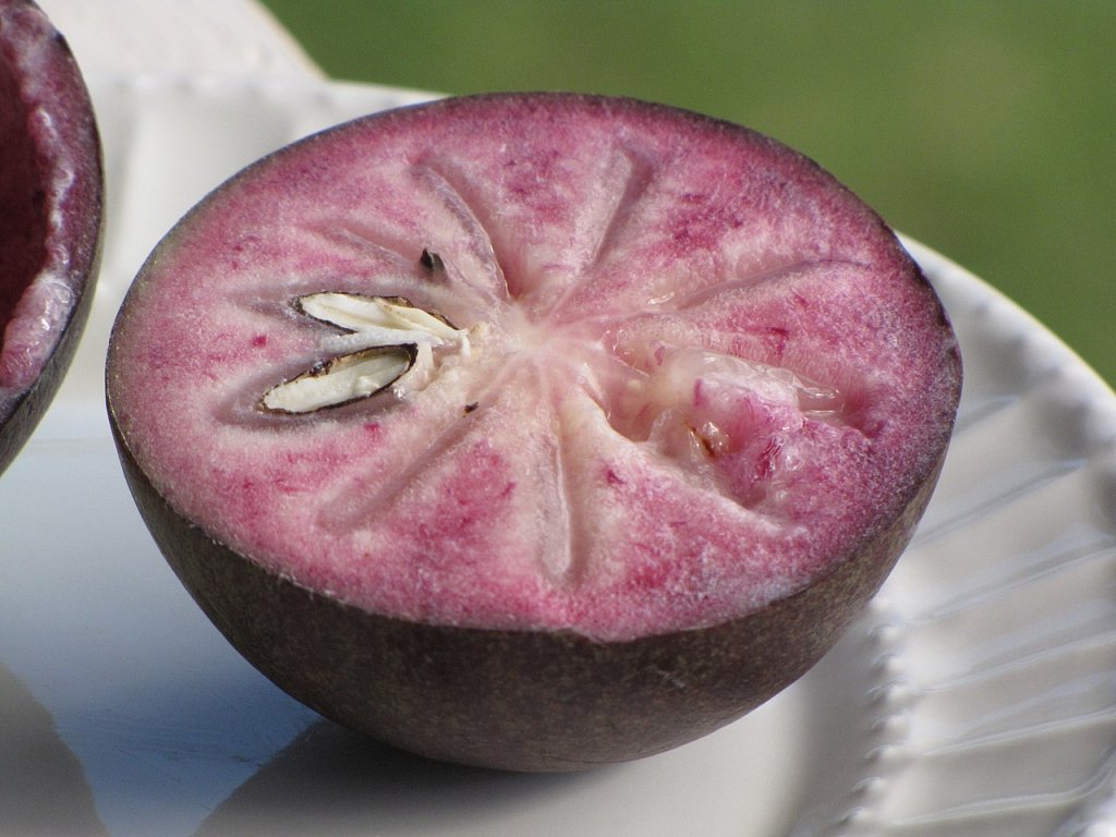 Abiu roxo: conheça a fruta e seus benefícios para a saúde