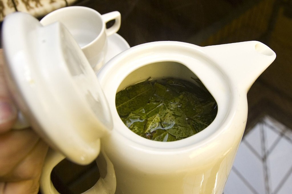 Chá de coca: a bebida dos Andes que ajuda a enfrentar a altitude