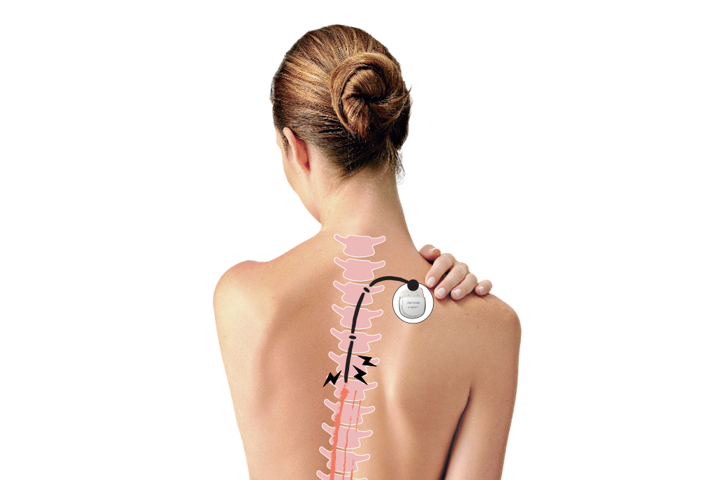 medicina-medula
