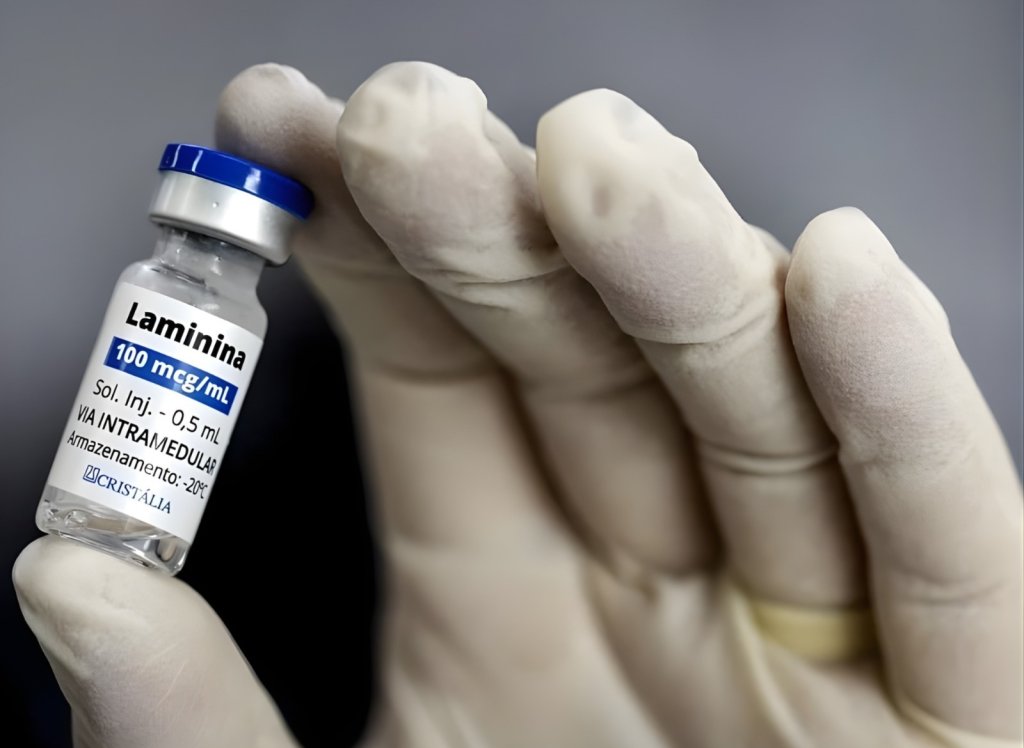 Polilaminina: o que é, como funciona e qual o estágio atual da pesquisa