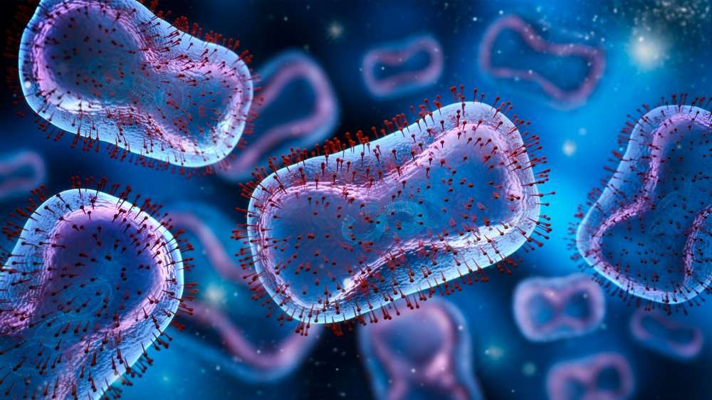 Brasil soma 88 casos de mpox; “alta dialoga com carnaval, mas não se compara a 2022”, diz especialista