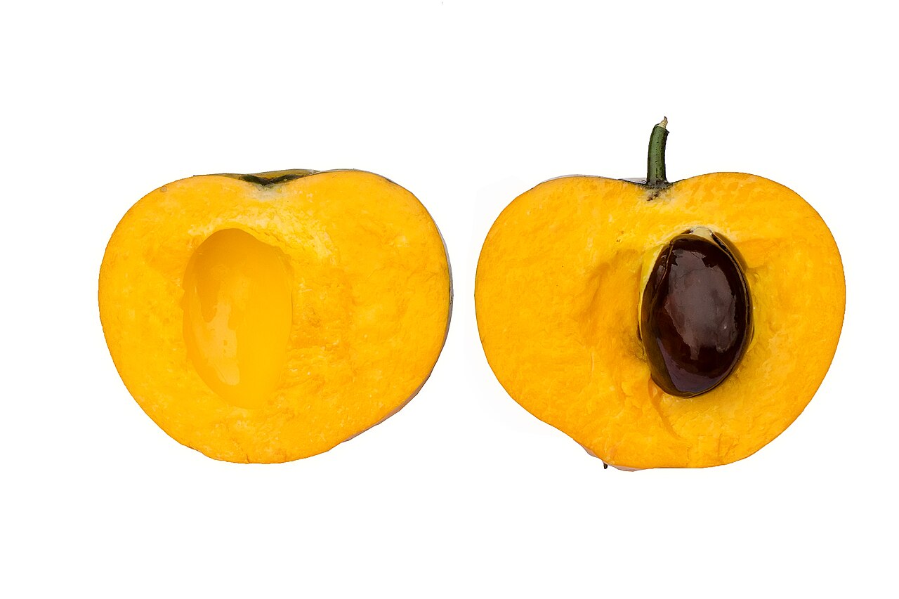 Canistel: conheça os benefícios da “fruta-ovo” para a sua saúde