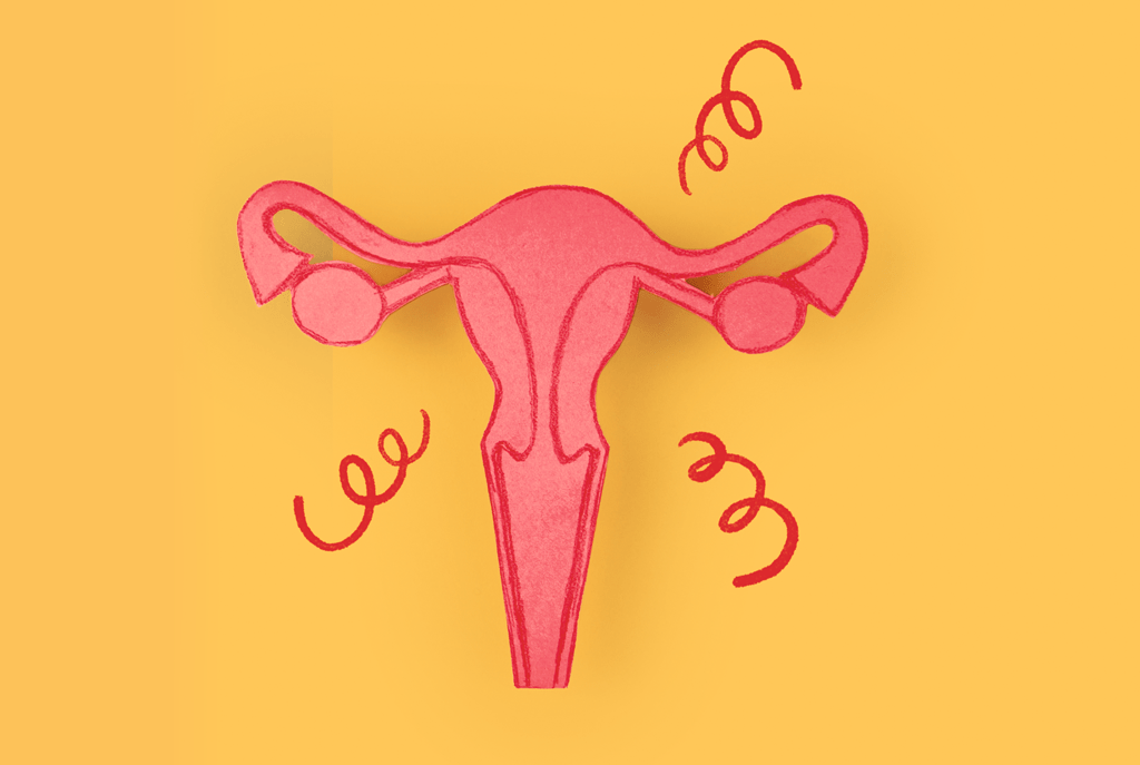 Estudo revela os principais impactos das flutuações hormonais nas mulheres