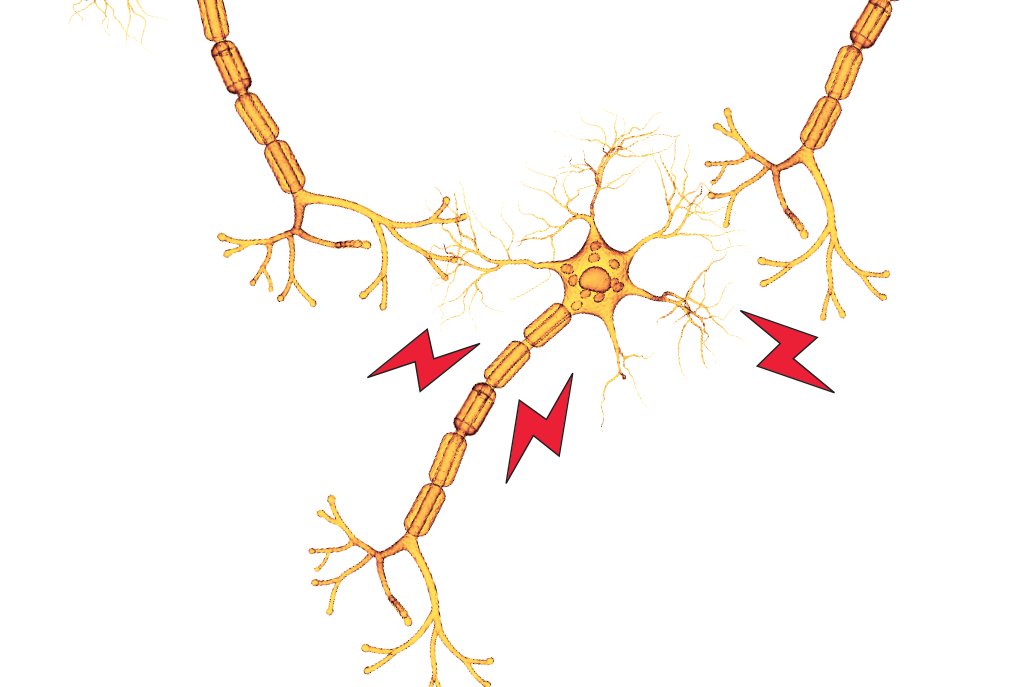 Em novo livro, neurologista conta casos extraordinários que revelam mistérios do cérebro humano