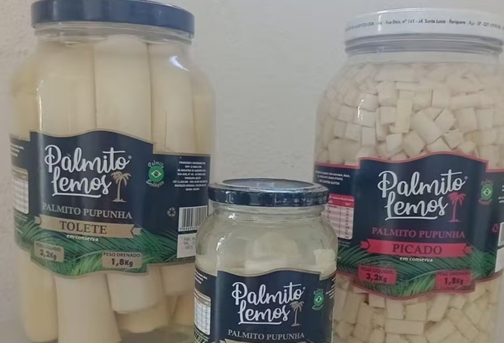Anvisa proíbe comercialização de marca de palmito; entenda os riscos