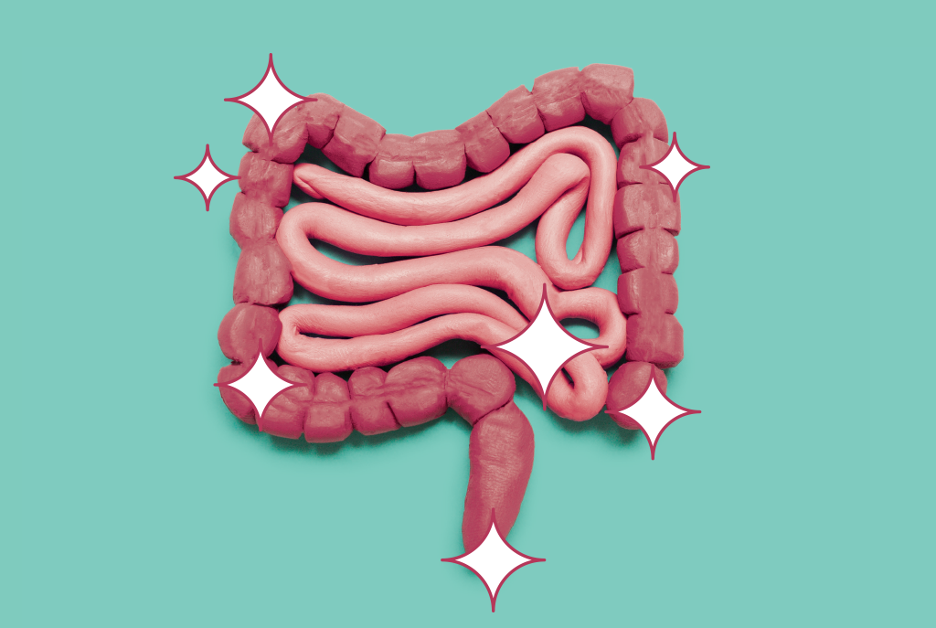 alimentacao-amigos-intestino